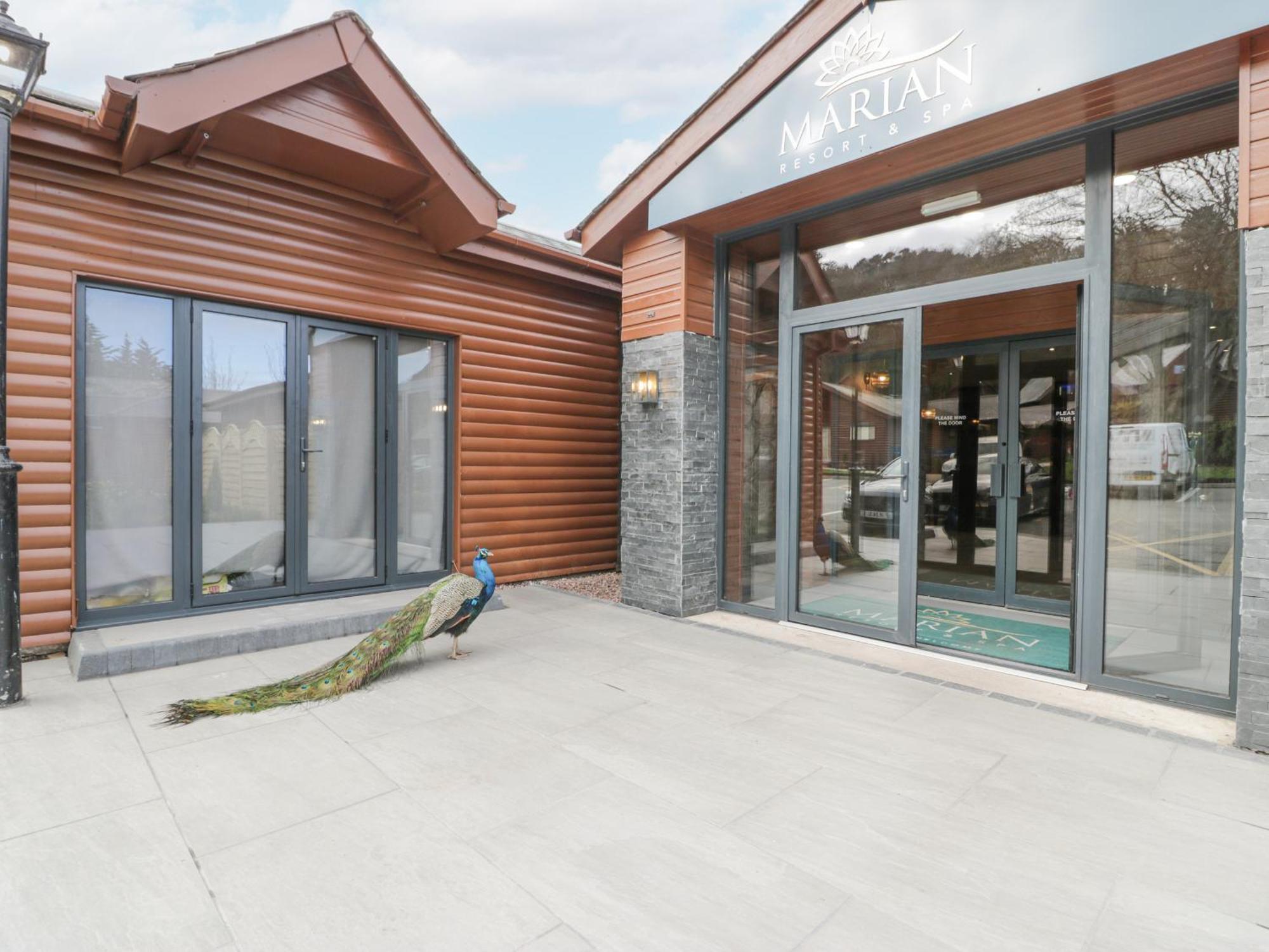Luxury Lodge 62 Rhyl Eksteriør billede